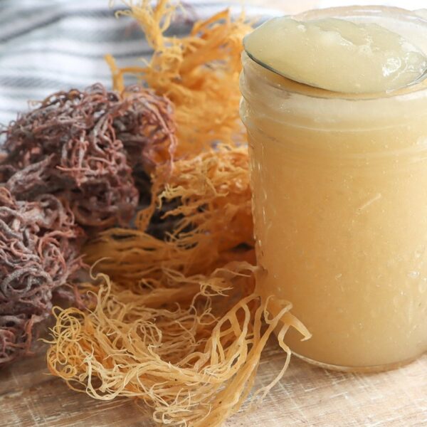 Sea Moss